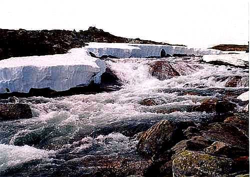 Tak vypad� ta trochu drsn�j�� divok� p��roda v okol� severn�ho pol�rn�ho kruhu...